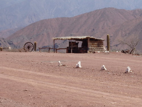 We passed by a ranch that has been here for over 200 years.